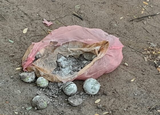 பிரதேசசபைத் தவிசாளரின் வீட்டின் முன் போடப்பட்ட சுடலைக்கு கழிவு